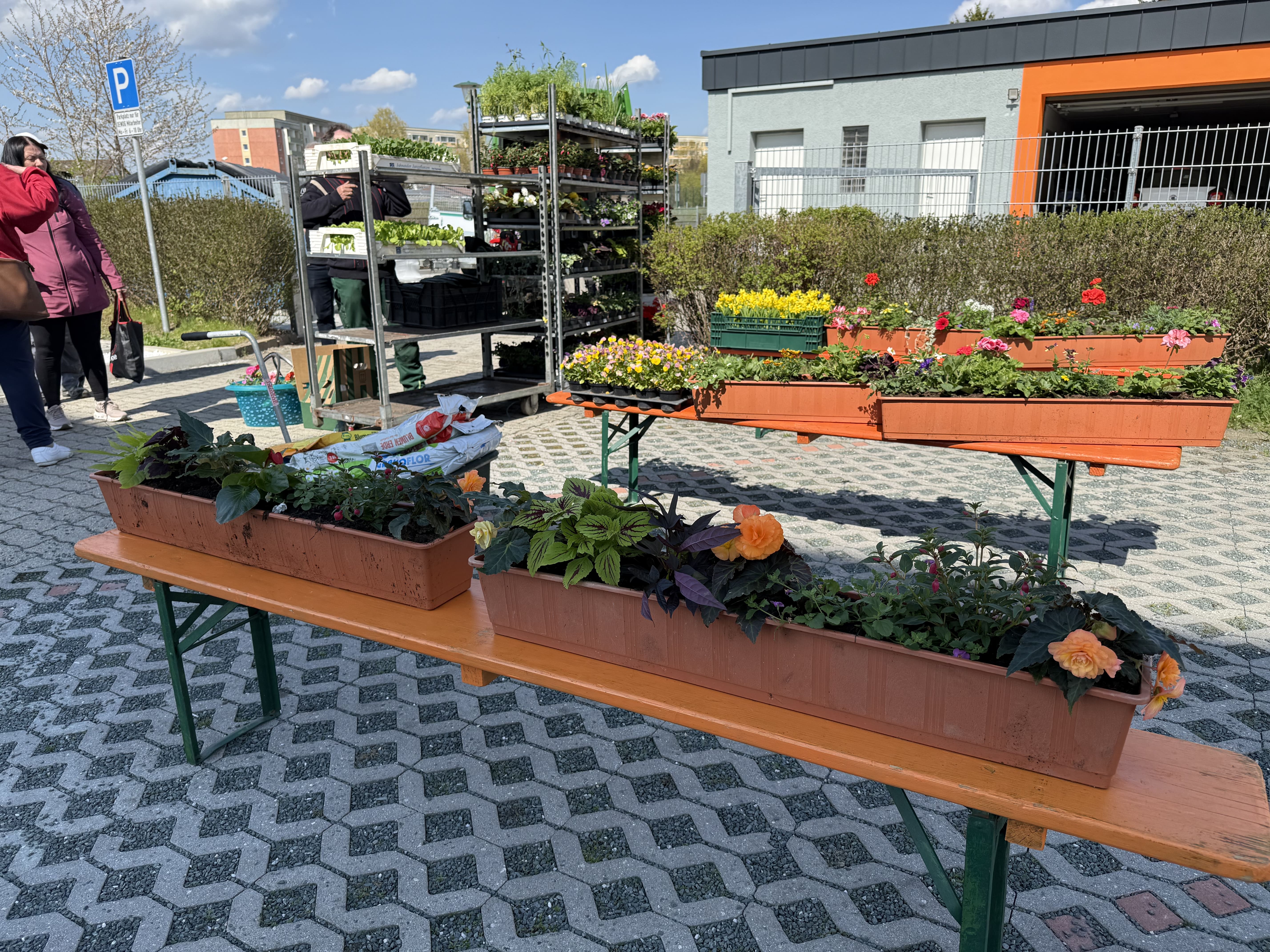 Blumen und Balkonkästen beim Blütenmarkt